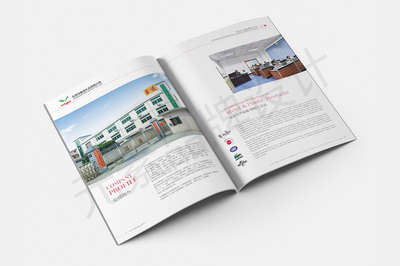 東莞一站式視覺(jué)營(yíng)銷服務(wù) 畫(huà)冊(cè)設(shè)計(jì)、LOGO設(shè)計(jì)、網(wǎng)站建設(shè)與宣傳片拍攝制作全解析